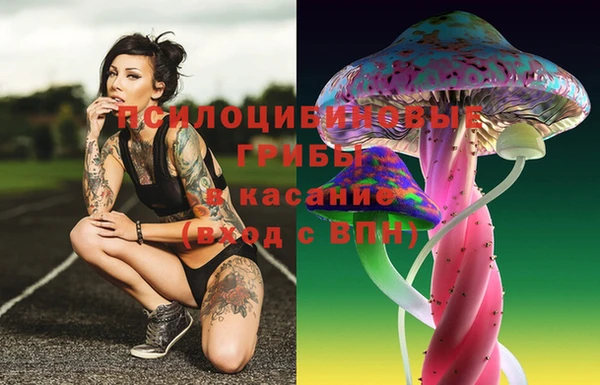 Альфа ПВП Алзамай