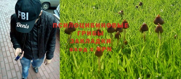 Альфа ПВП Алзамай