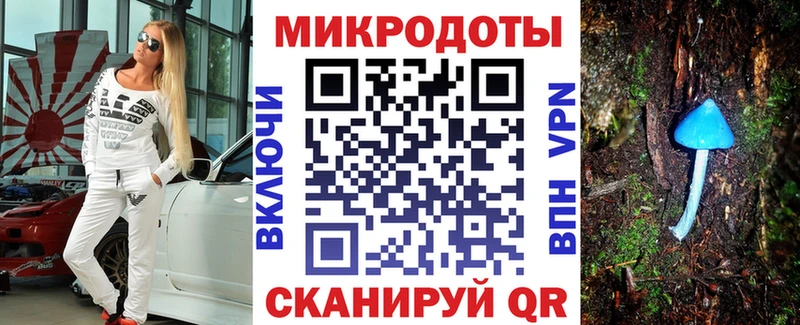 Галлюциногенные грибы мухоморы  где найти   Кондопога 