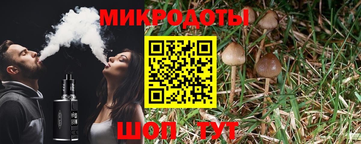 Галлюциногенные грибы Psilocybine cubensis Кондопога