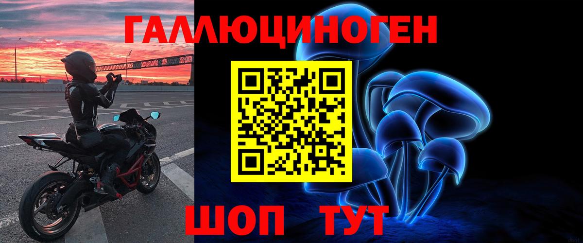 Кондопога  Псилоцибиновые грибы мицелий  Вход с VPN 