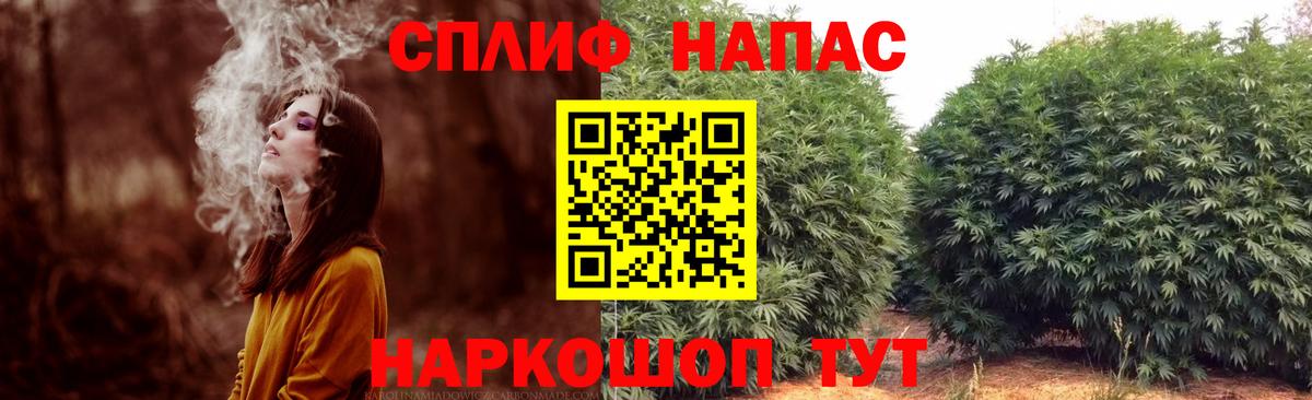 МАРИХУАНА ГИДРОПОН  Вход с VPN  Конопля конопля  МАРИХУАНА конопля  Кондопога  Каннабис White Widow 